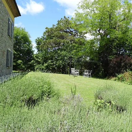 La Rocca -- Monticello Lejlighed Medesano