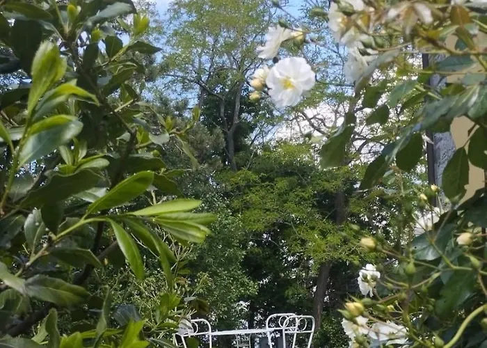 La Rocca -- Monticello 아파트 *